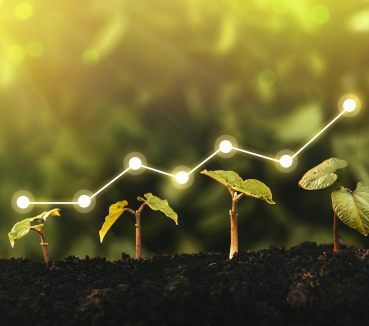 Growth Year Planning
